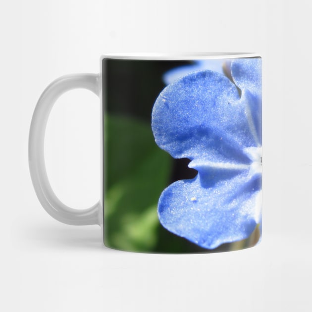 Forget-me-not, blue flower by rh_naturestyles